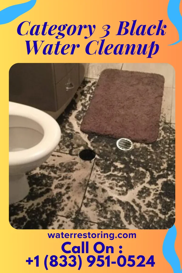 Category 3 Black Water Cleanup in Uniontown, WA